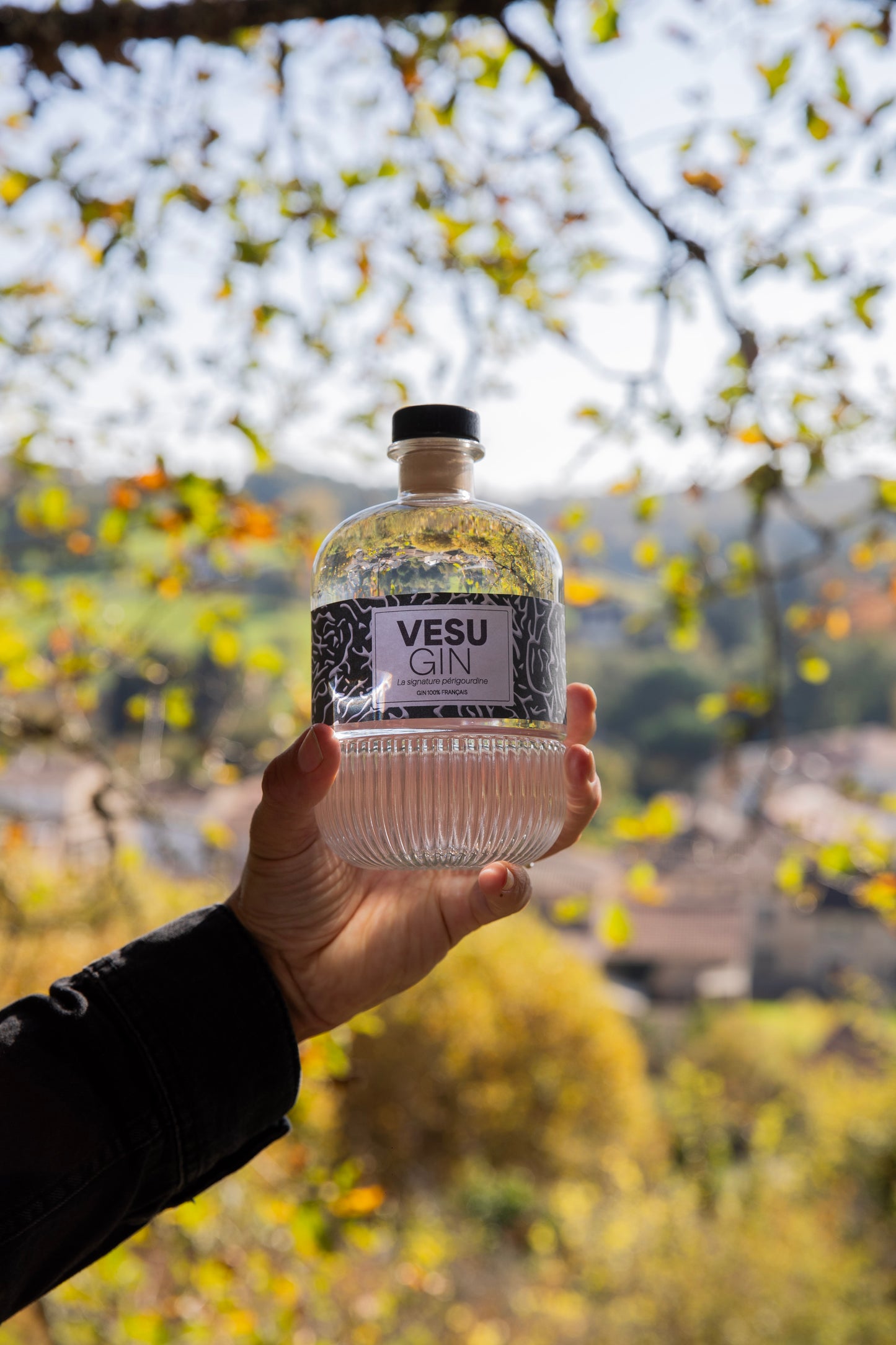 VESU'GIN