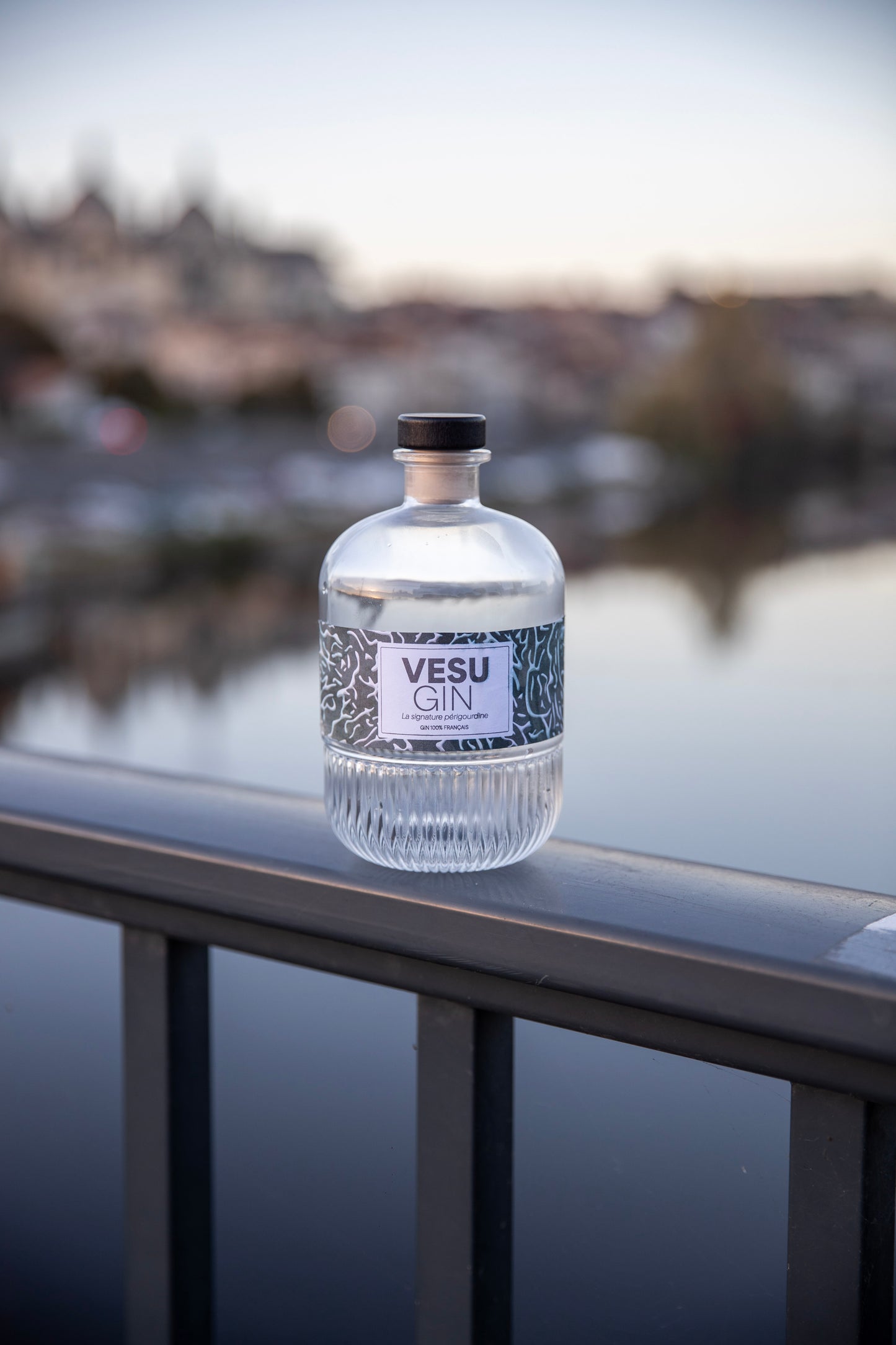 VESU'GIN