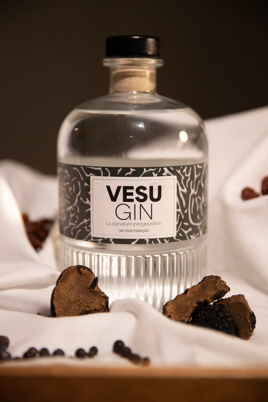 VESU'GIN