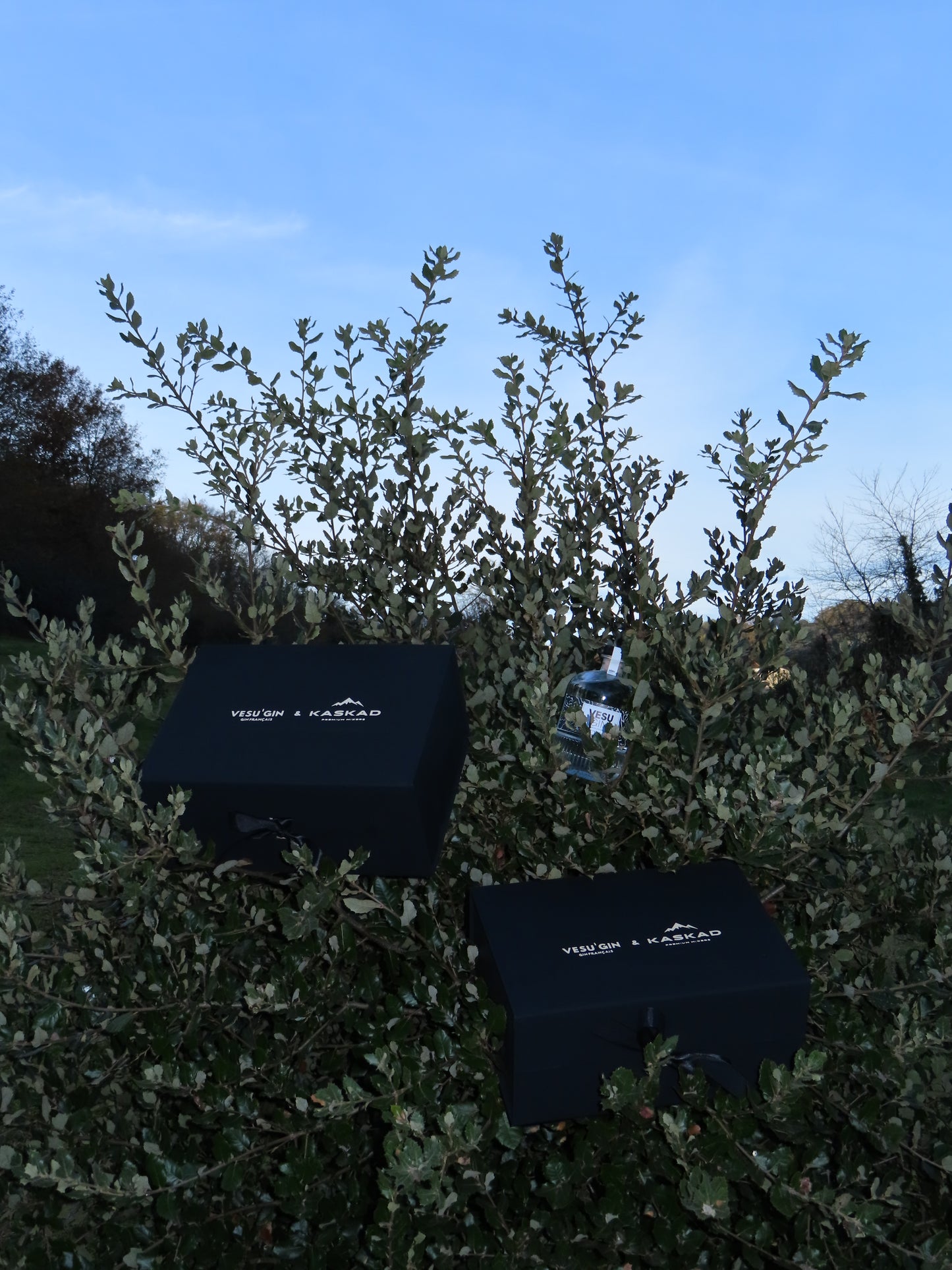 Coffret découverte VESU'GIN x KASKAD